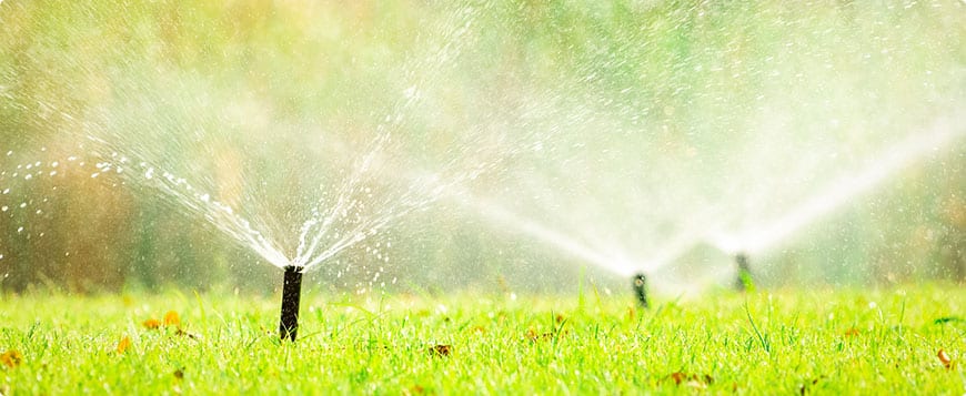 Irrigation System Installation in Cranston example 6