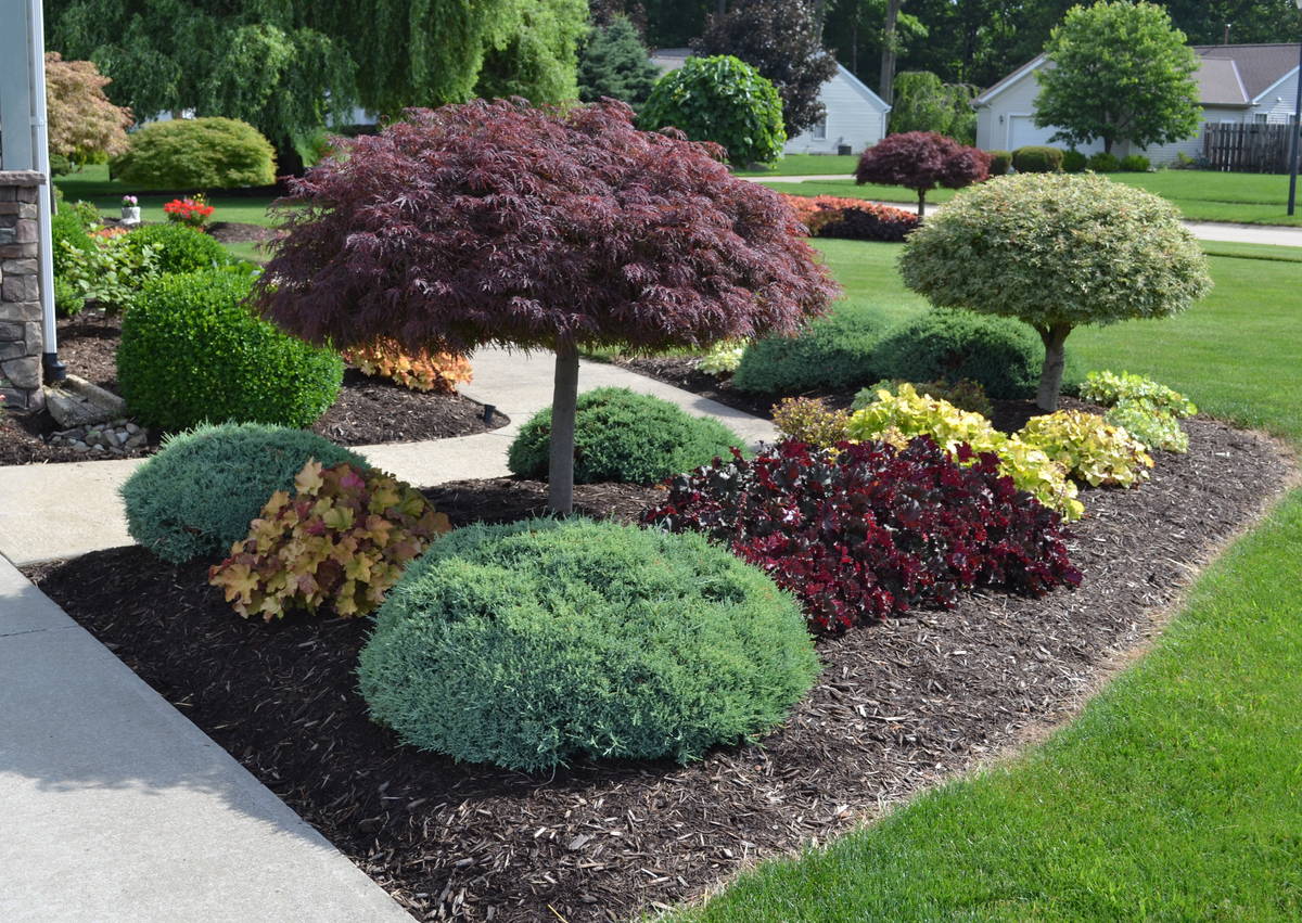 Landscape Design in Cranston example 7