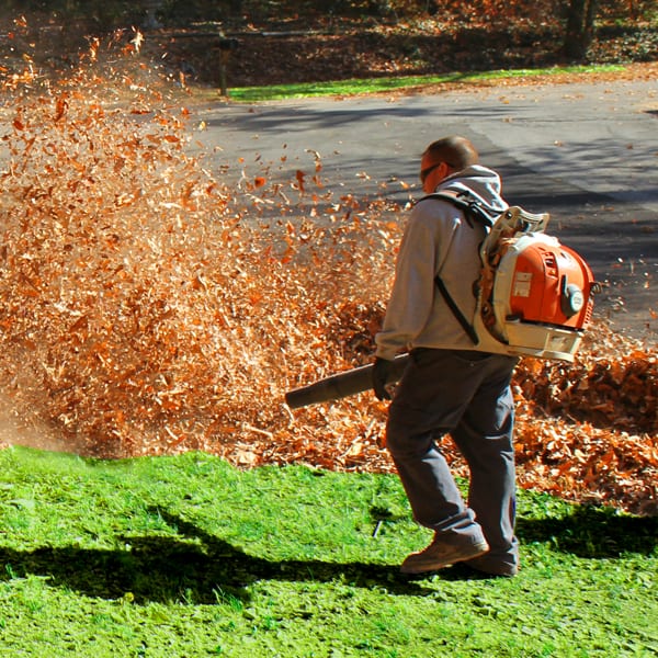 Leaf Removal in Cranston example 4