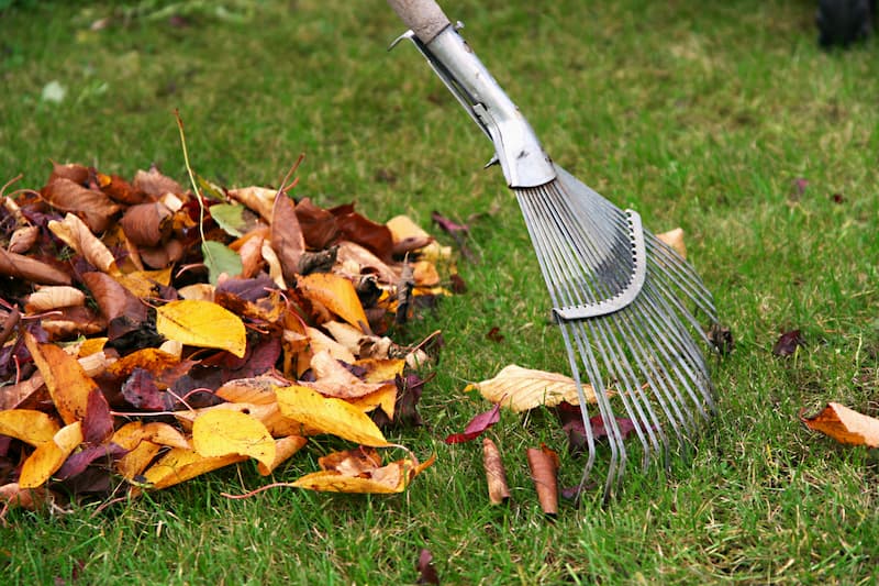 Leaf Removal in Cranston example 5