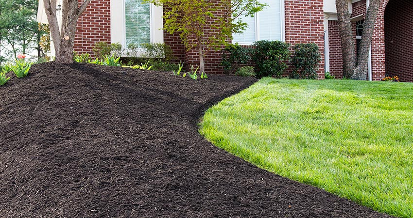 Mulch Installation in Cranston example 2