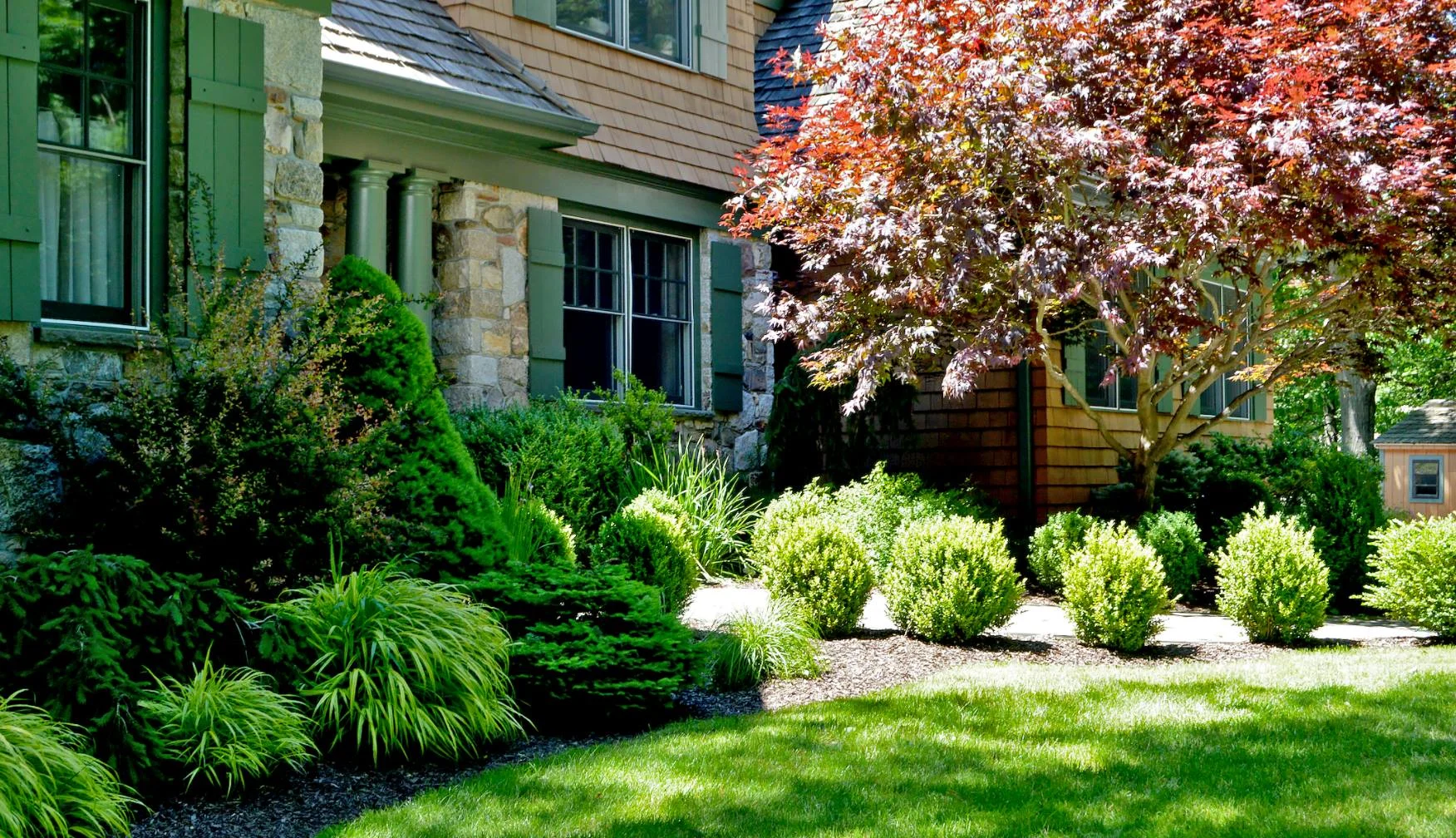 Tree & Shrub Planting in Cranston example 1