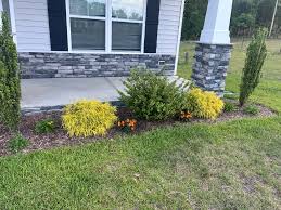 Tree & Shrub Planting in Cranston example 5