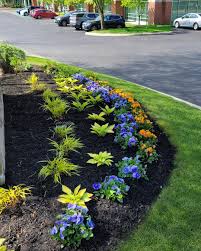 Tree & Shrub Planting in Cranston example 7