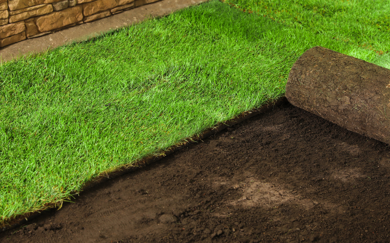 Sod Installation in Cranston example 1