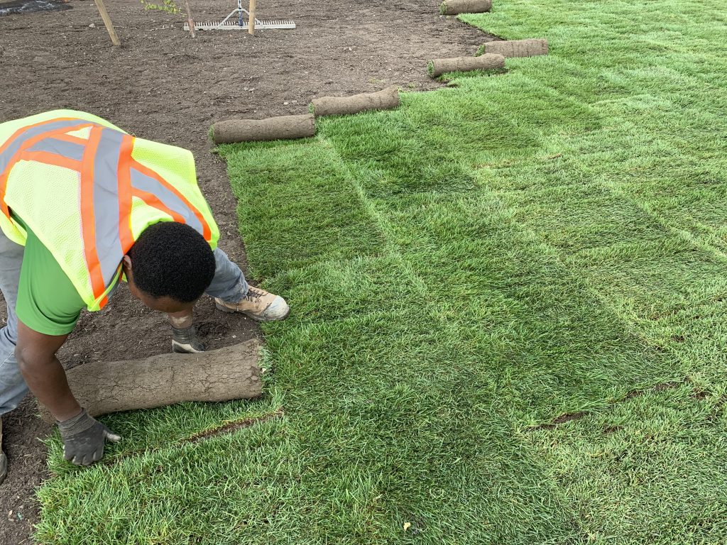 Sod Installation in Cranston example 2
