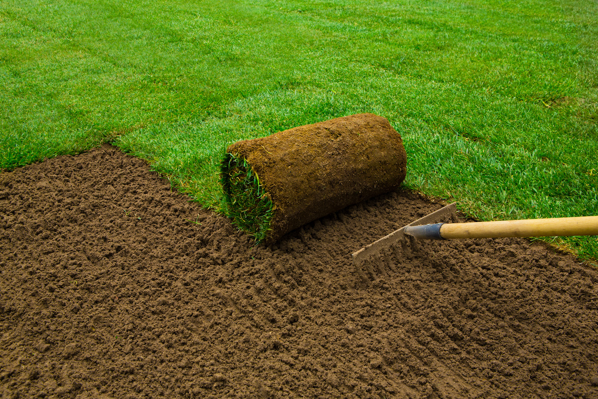 Sod Installation in Cranston example 3