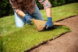 Sod Installation in Cranston example 4