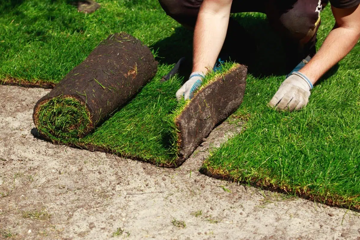 Sod Installation in Cranston example 5