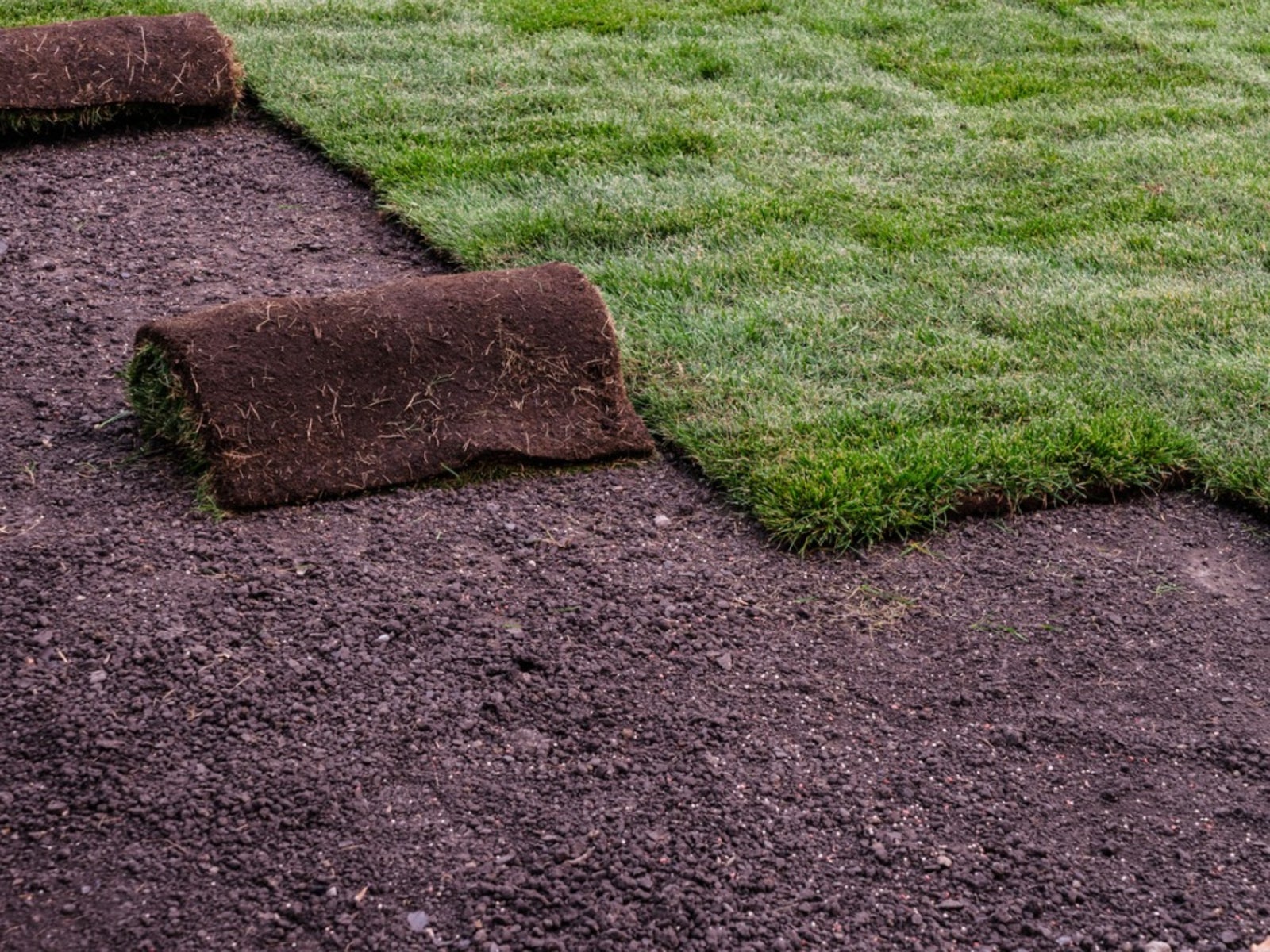 Sod Installation in Cranston example 6